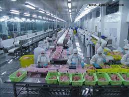 食品加工廠新工廠規(guī)劃的要點(diǎn)有哪些？