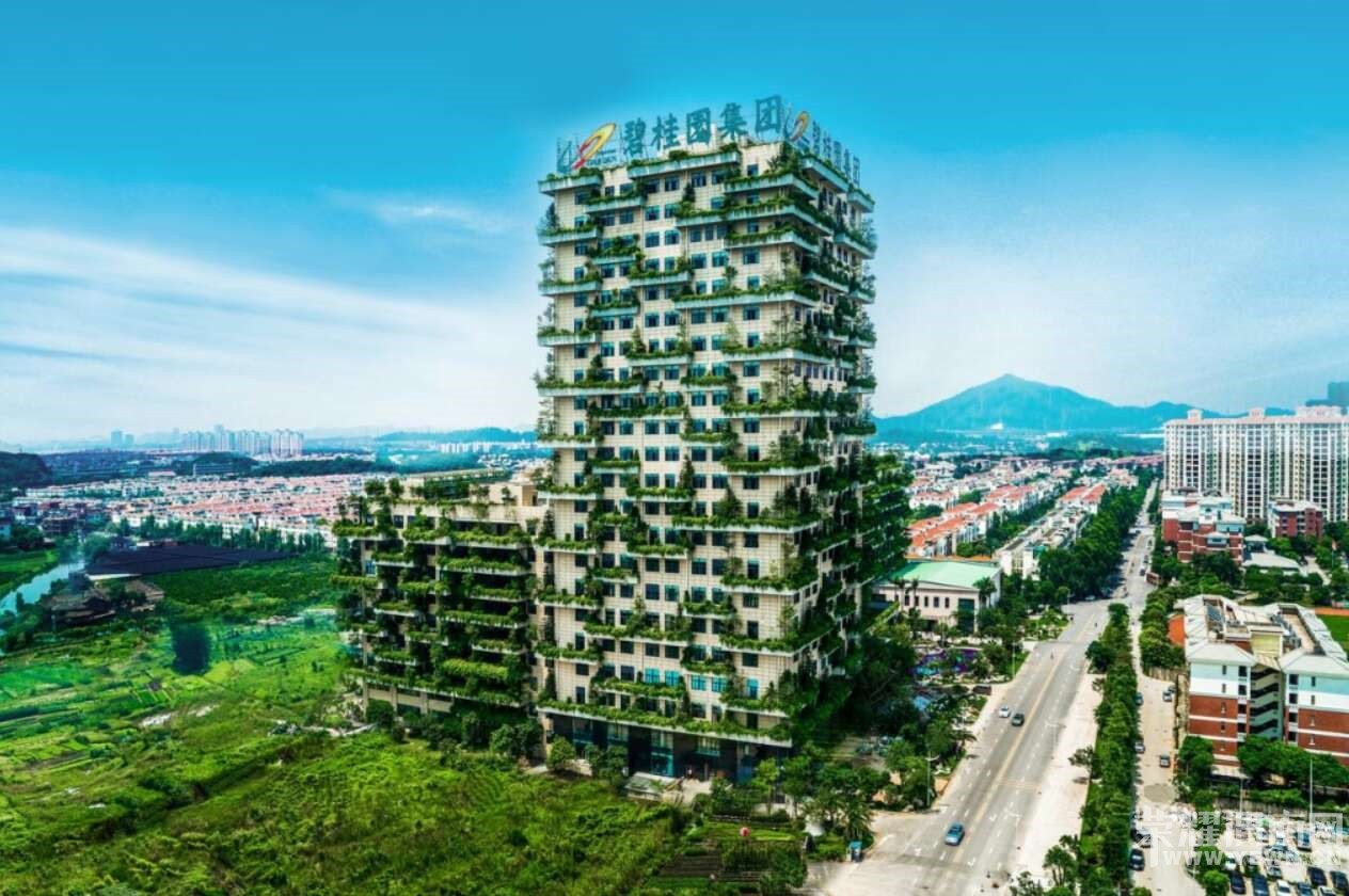 碧桂園旗下公司—博意建筑設(shè)計(jì)院項(xiàng)目管理